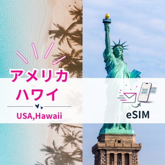 アメリカ/ハワイ | eSIMデータ通信