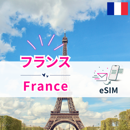 フランス₊ | eSIMデータ通信