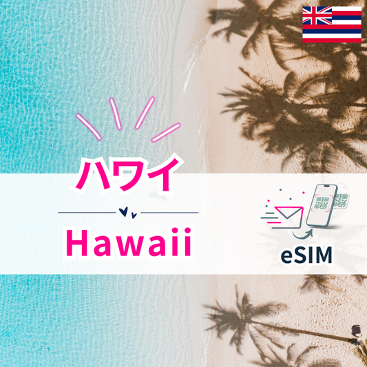 ハワイ | eSIMデータ通信