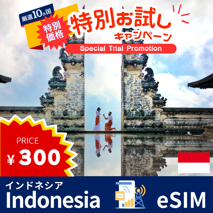 ★ 特別お試しキャンペーン ★ インドネシア | eSIMデータ通信