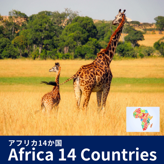 アフリカ14か国  | eSIMデータ通信