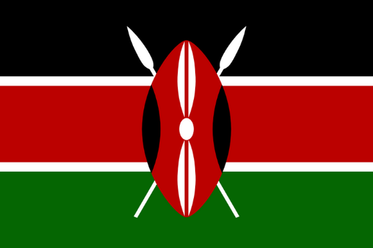 ケニア| eSIMデータ通信